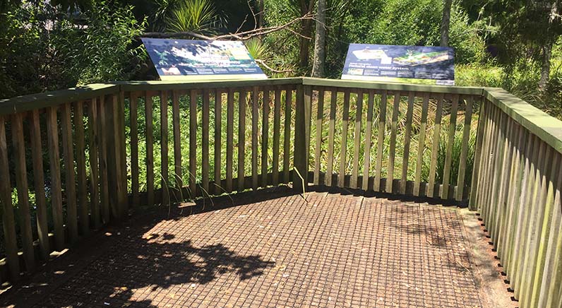 Roy Clements Treeway – A pedestrian refuge on the raised boardwalk, and boards with information about the wildlife that may be found along the treeway.