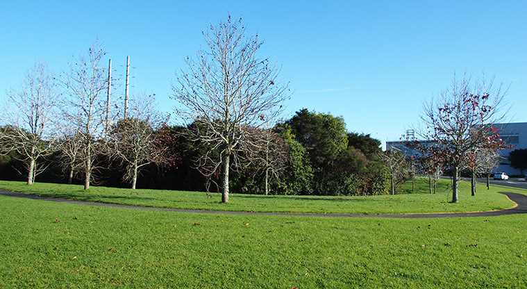 Pukewhakataratara / Rush Creek Reserve - Section of path and open space along Westgate Drive.