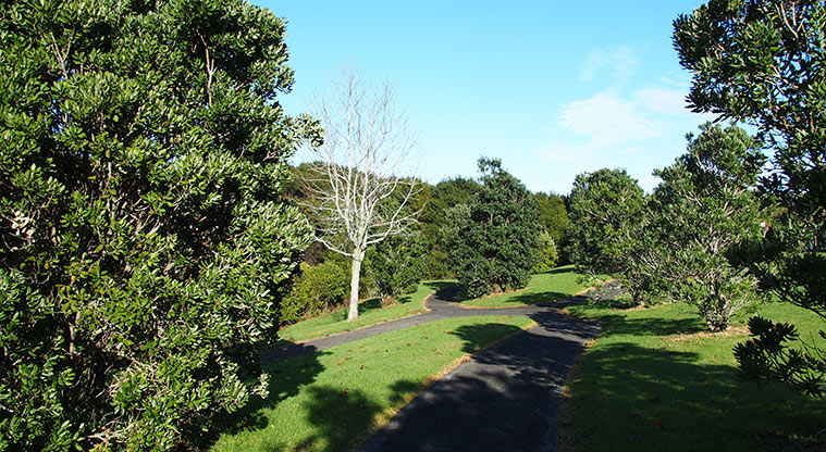 Pukewhakataratara / Rush Creek Reserve - Some of the paths and sections of bush within the reserve.