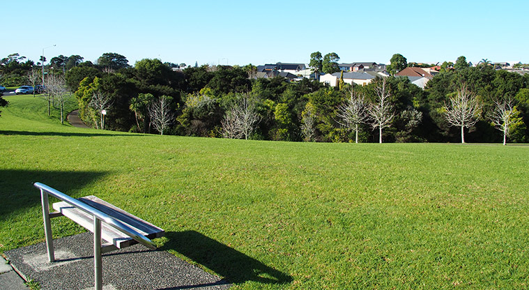 Pukewhakataratara / Rush Creek Reserve - Seat overlooking the open grassed area and bush.