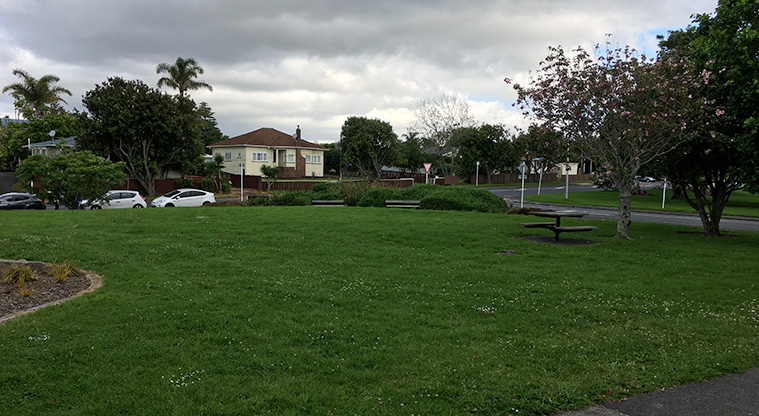 Sainsbury Reserve - Open grassed area with a picnic table under one trees, and other trees and the road in the background. Photo credit: S Hulse.