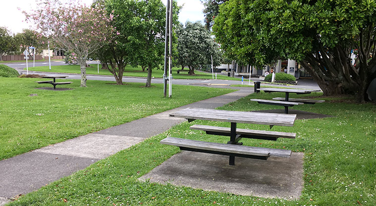 Sainsbury Reserve - Picnic tables and open grassed space with a path down the middle. Photo credit: S Hulse.