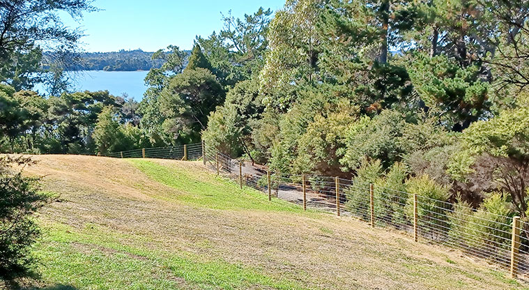 Sanders Reserve - Section of the fully fenced dog exercise area with a view out to the Waitematā Harbour.