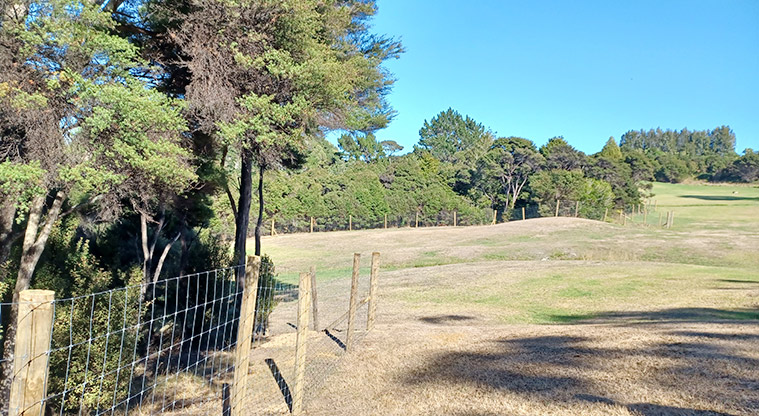 Sanders Reserve - Section of the fully fenced dog exercise area.