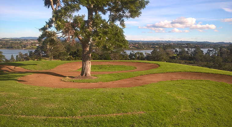Sanders Reserve - Bike track circling around a tree, with views of the Waitematā Harbour in the background.