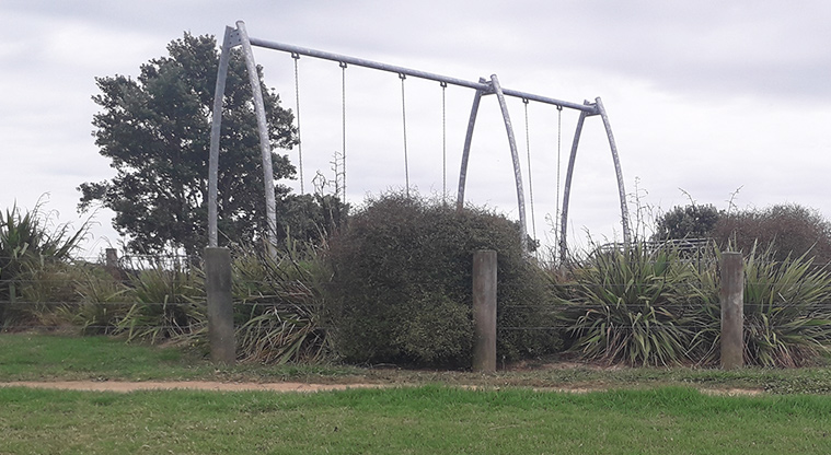 Sanders Reserve - Swings.
