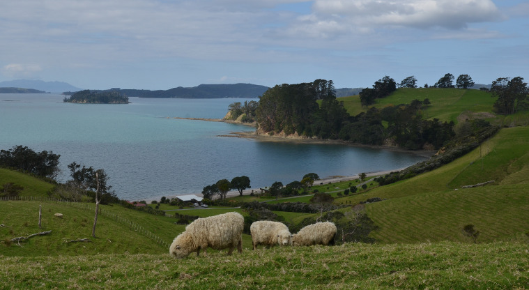 Scandrett Regional Park - View of Scandretts Bay.