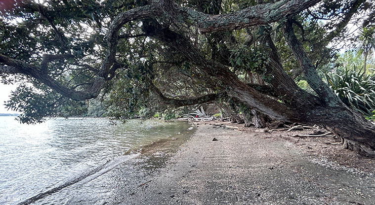 Scandrett Regional Park - Looking west along the beach from in front of the boat shed. Photo credit: S Hulse.