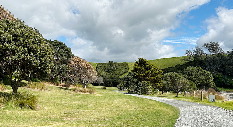 Scandrett Regional Park - Open grassed space with trees and the road leading towards the baches. Photo credit: S Hulse.