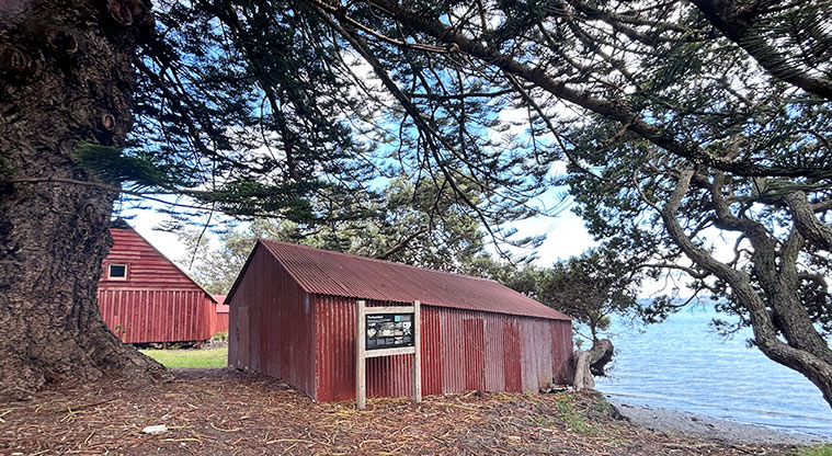 Scandrett Regional Park - The boat shed under a large norfolk pine. Photo credit: S Hulse.