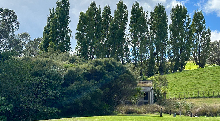Scandrett Regional Park - The toilets surrounded by trees. Photo credit: S Hulse.