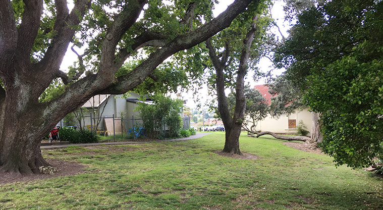 School Reserve - Path under the trees leading to the Second Avenue entrance. Photo credit: S Hulse.
