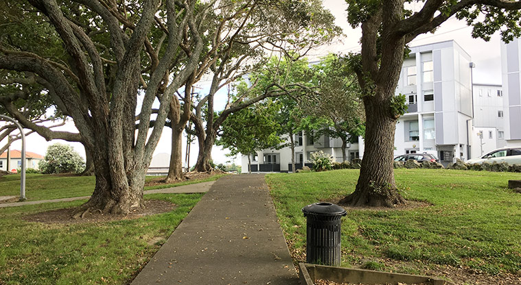 School Reserve - Path leading out to the Western Springs Road entrance with trees on both sides. Photo credit: S Hulse.
