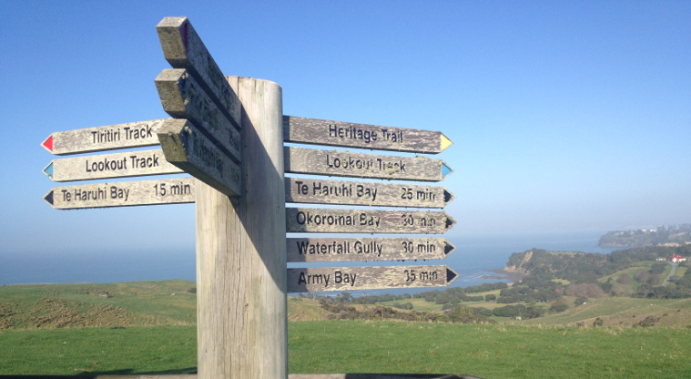Shakespear Regional Park - A signpost at the main tracks intersection.