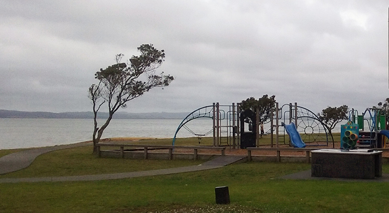 Shelly Beach Reserve - Playground and barbecue with the Kaipara Harbour in the background.