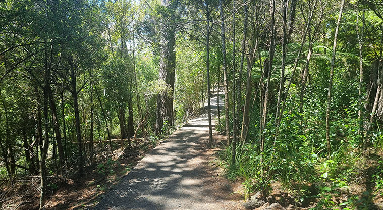 Shepherds Park – Section of gravel track through the bush.