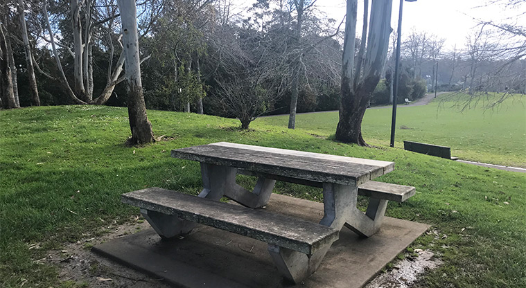 Shepherds Park – Picnic table with trees and sports fields in the background.
