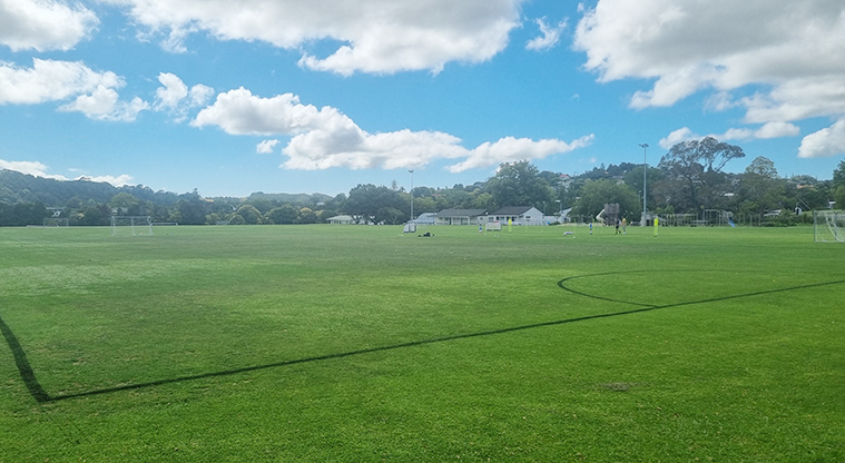 Shoesmith Domain Recreation Reserve - Sports fields with trees and buildings in the background.