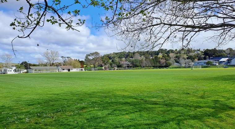 Shoesmith Domain Recreation Reserve - Open grassed area with trees.