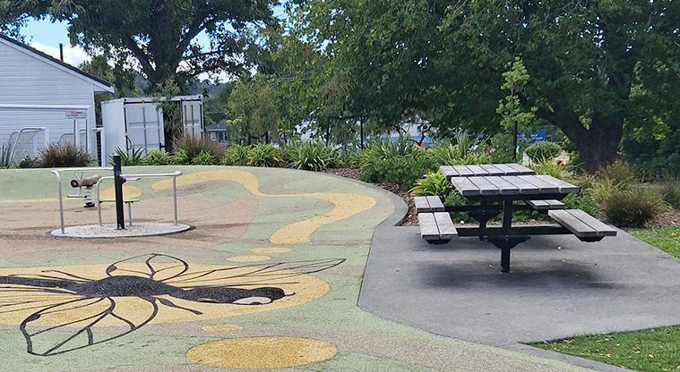 Shoesmith Domain Recreation Reserve - Carousel and picnic table.