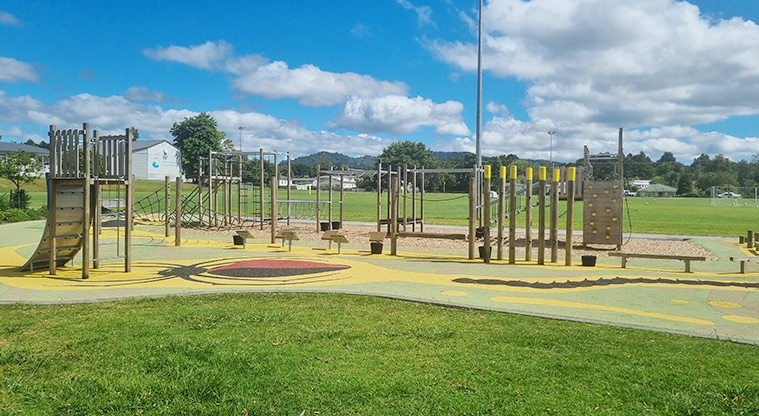 Shoesmith Domain Recreation Reserve - The playground with a wide variety of climbing equipment, swings, slides, and more.