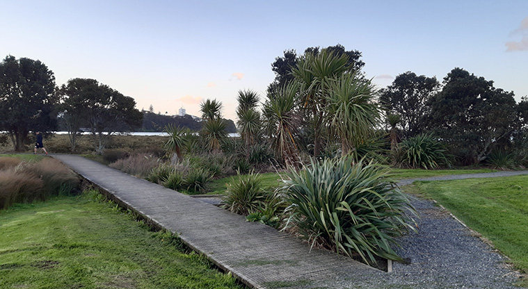 Shore Road Reserve - A section of boardwalk and a gravel path, and looking across the trees to Hobson Bay.