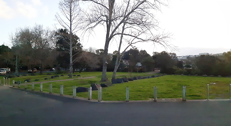 Shore Road Reserve - Section of the car park with open space and trees in the background.