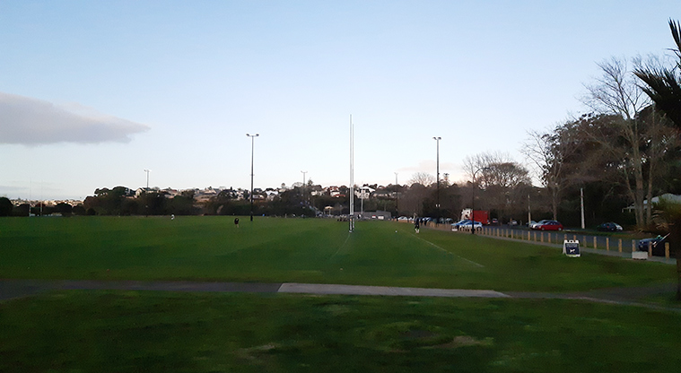 Shore Road Reserve - Section of the sports fields with lighting and goal posts.
