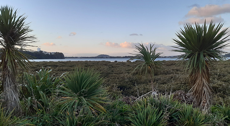 Shore Road Reserve - Looking from a section of the path across Hobson Bay.