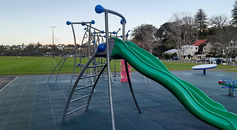 Shore Road Reserve - Double green slide with a ladder, and the rest of the playground and sports fields in the background.