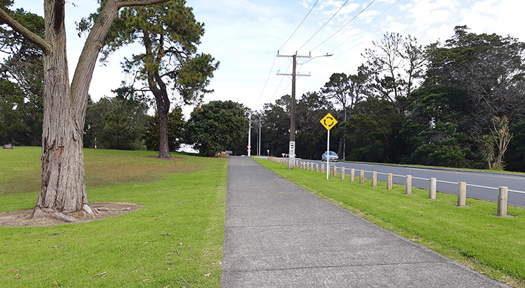 Tiakina / Sister Rene Shadbolt Park - Section of the park running alongside Portage Road.