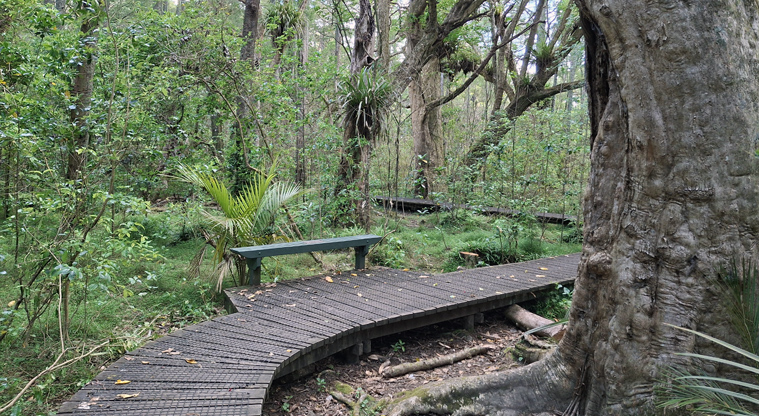 Smiths Bush Scenic Reserve – Bench seat alongside one of the sections of boardwalk.