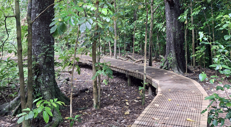 Smiths Bush Scenic Reserve – Section of boardwalk in the bush.