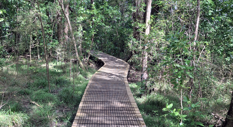 Smiths Bush Scenic Reserve – Section of boardwalk in the bush.