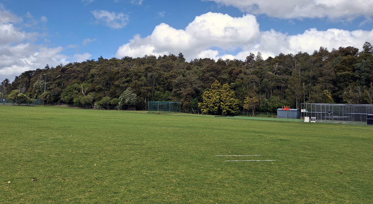 Smiths Bush Scenic Reserve – The Takapuna Cricket Club grounds, next to the reserve.
