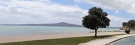 St Heliers Bay Beach Reserve