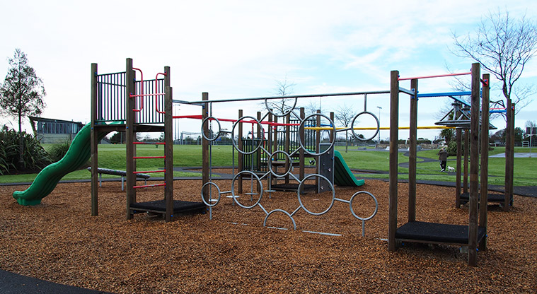 Starling Park - Playground with climbing rings, swing seats, round monkey bars, climbing wall and slides. Photo credit: Tracey Hodder.
