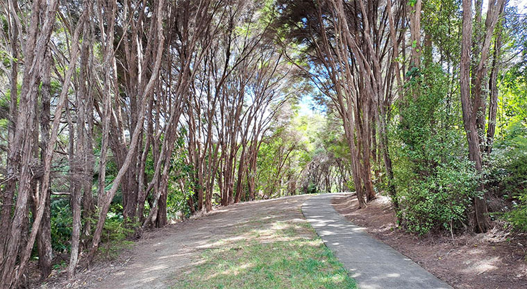 Uru-ora / Stredwick Reserve - A section of path through the bush.