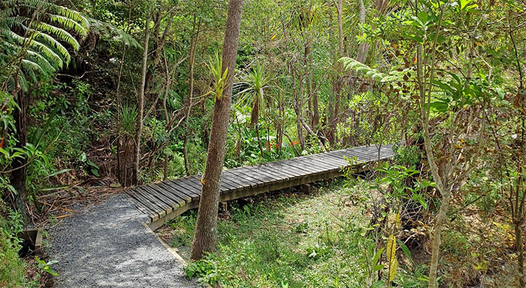 Uru-ora / Stredwick Reserve - A section of path and board walk through the bush.