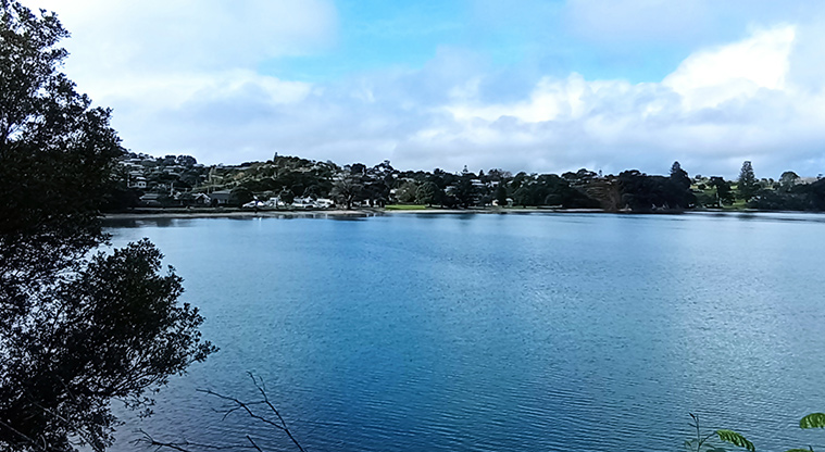 Surfdale Beach - Looking across Huruhi Bay to the southern side of the beach. Photo credit: K Sumner.