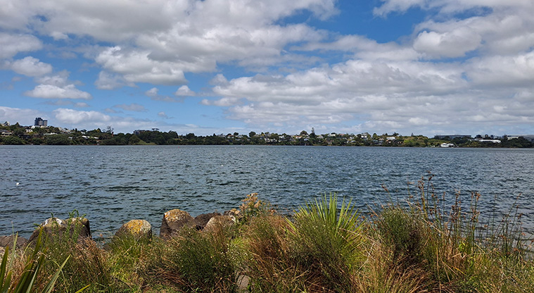 Sylvan Park - View across Pupuke Lake.