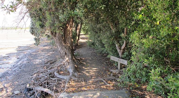 Tahuna Torea Nature Reserve - Section of path around the edge of the wetlands.