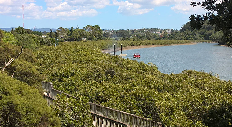 Taipari Strand – Boardwalk through the mangroves with the Henderson Creek in the background. Photo credit: Tracey Hodder.