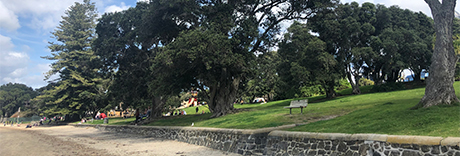Takapuna Beach Reserve