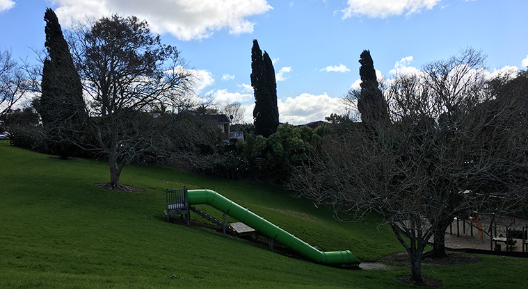 Taumata Reserve - Large green slide running down the hill to the rest of the playground. Photo credit: S Hulse.