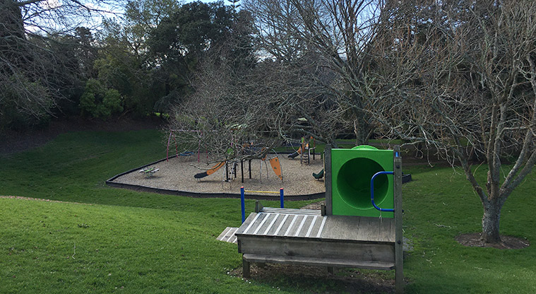 Taumata Reserve - Top of the large green slide that runs down the hill, with the playground at the bottom. Photo credit: S Hulse.