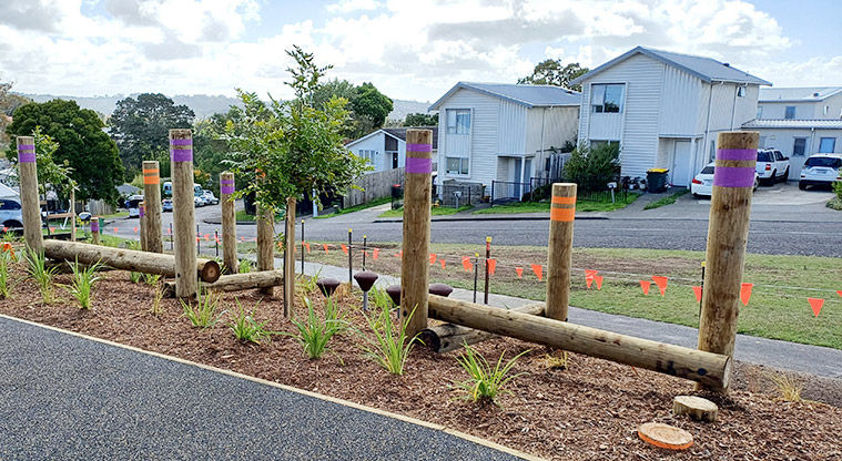 Taurus Crescent Reserve - Balance beams and steppers.