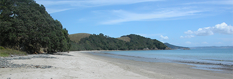 Tawhitokino Regional Park
