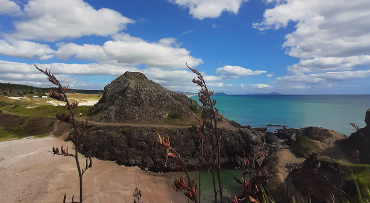 Te Ārai Regional Park - Looking north from the top of a hill.