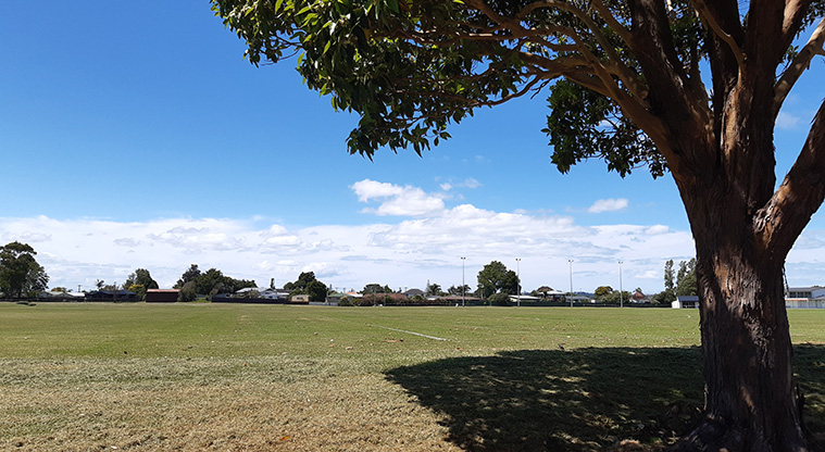 Te Atatū Peninsula Park - The sports field with a large tree in the foreground.